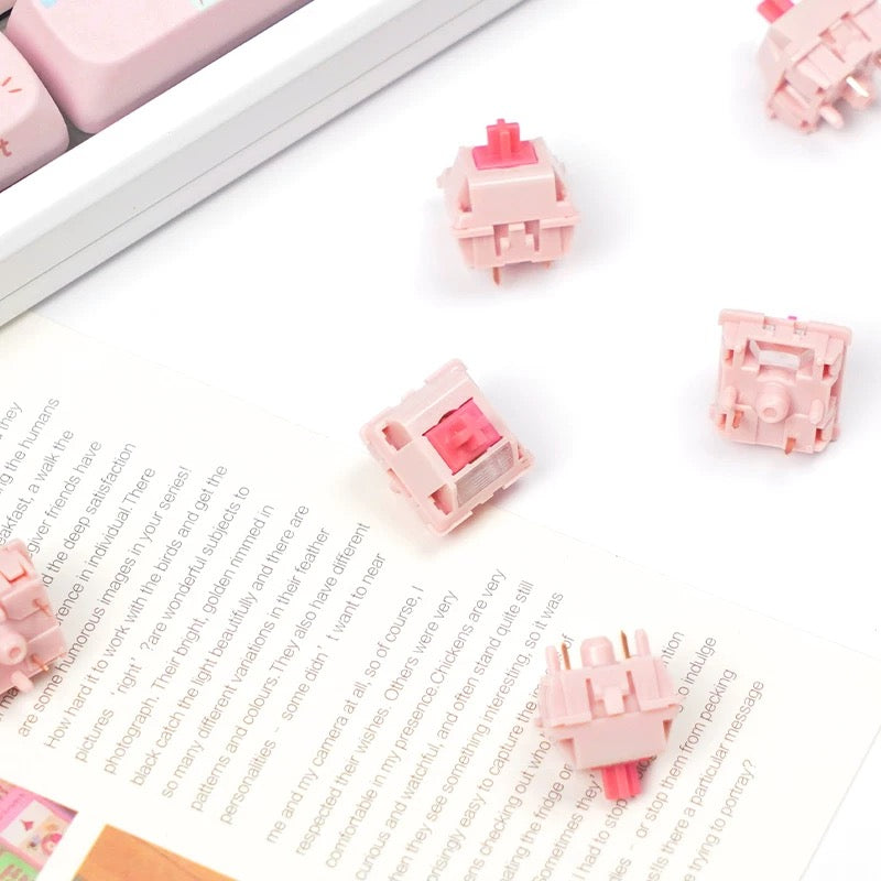 BSUN Light Sakura Silent Linear Switch close-up