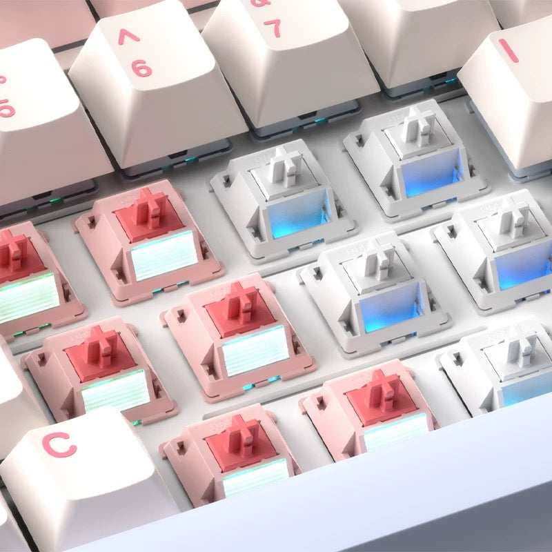 BSUN Sakura switches in packaging