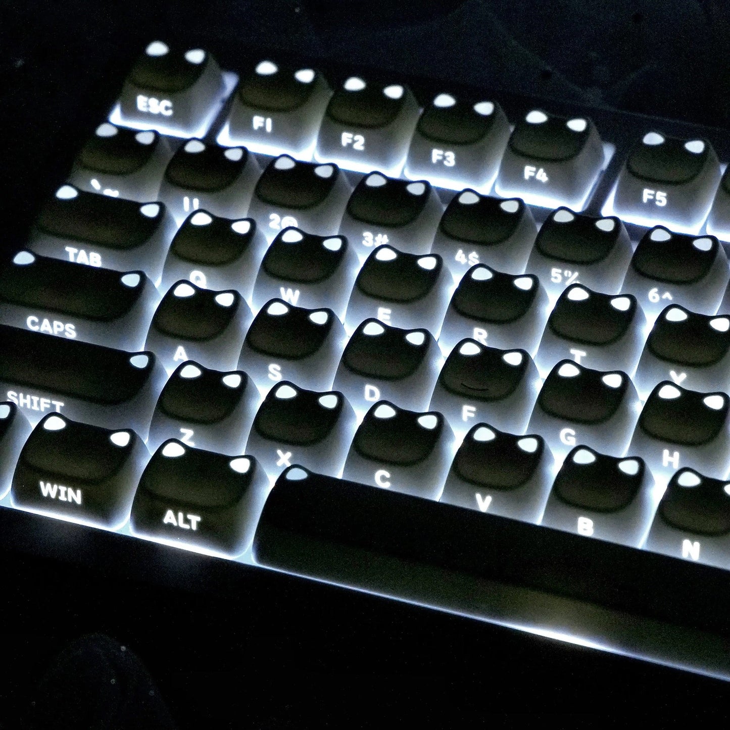 MAO Profile Kawaii Cat Ear Backlit Keycaps - 110 Keys PBT Dye-Sub | ARKTCAT