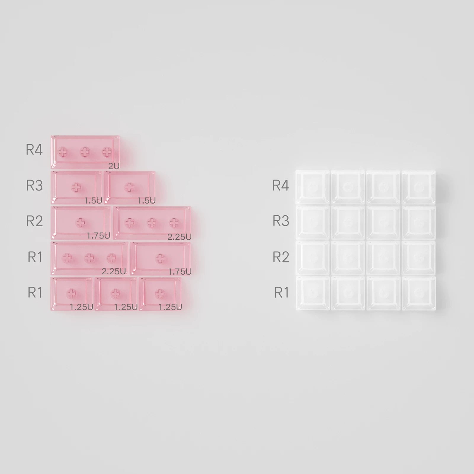Two rectangular trays with labeled sections on a gray background