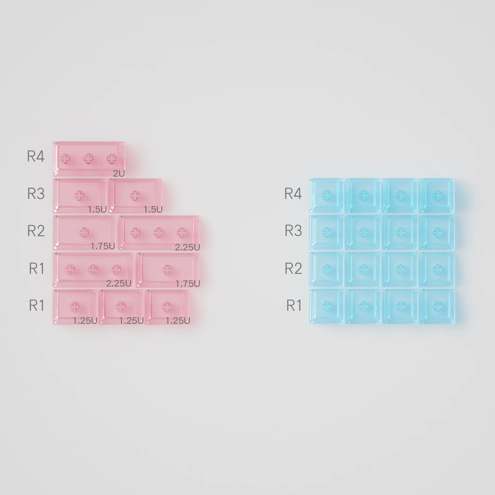 Two rectangular containers, one pink and one blue, with labeled sections on a gray background.