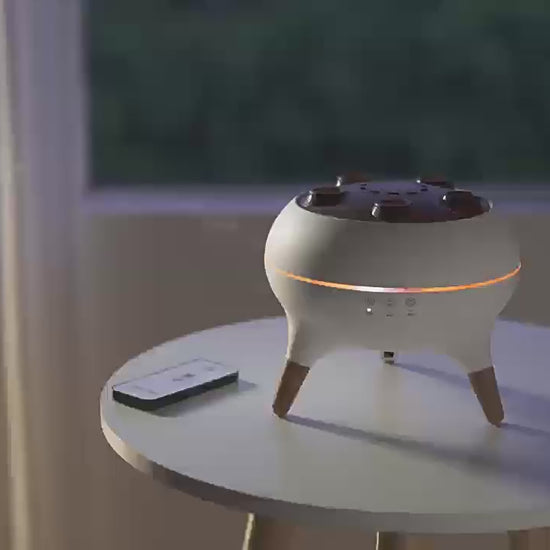 Jellyfish Diffuser