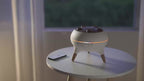 Jellyfish Diffuser
