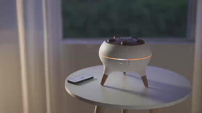Jellyfish Diffuser